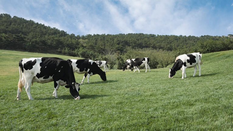 What US dairy executives learned from the pandemic