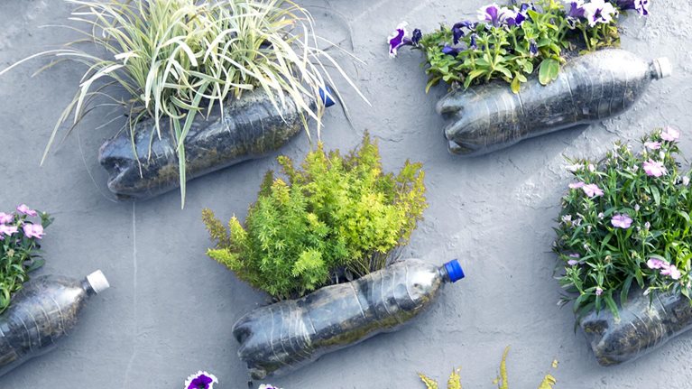 Plastic pop bottle wall garden