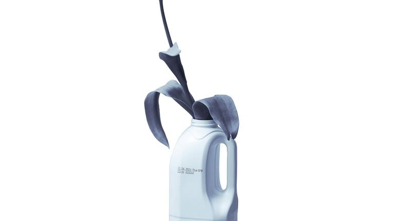 New life of recycled plastic bottle