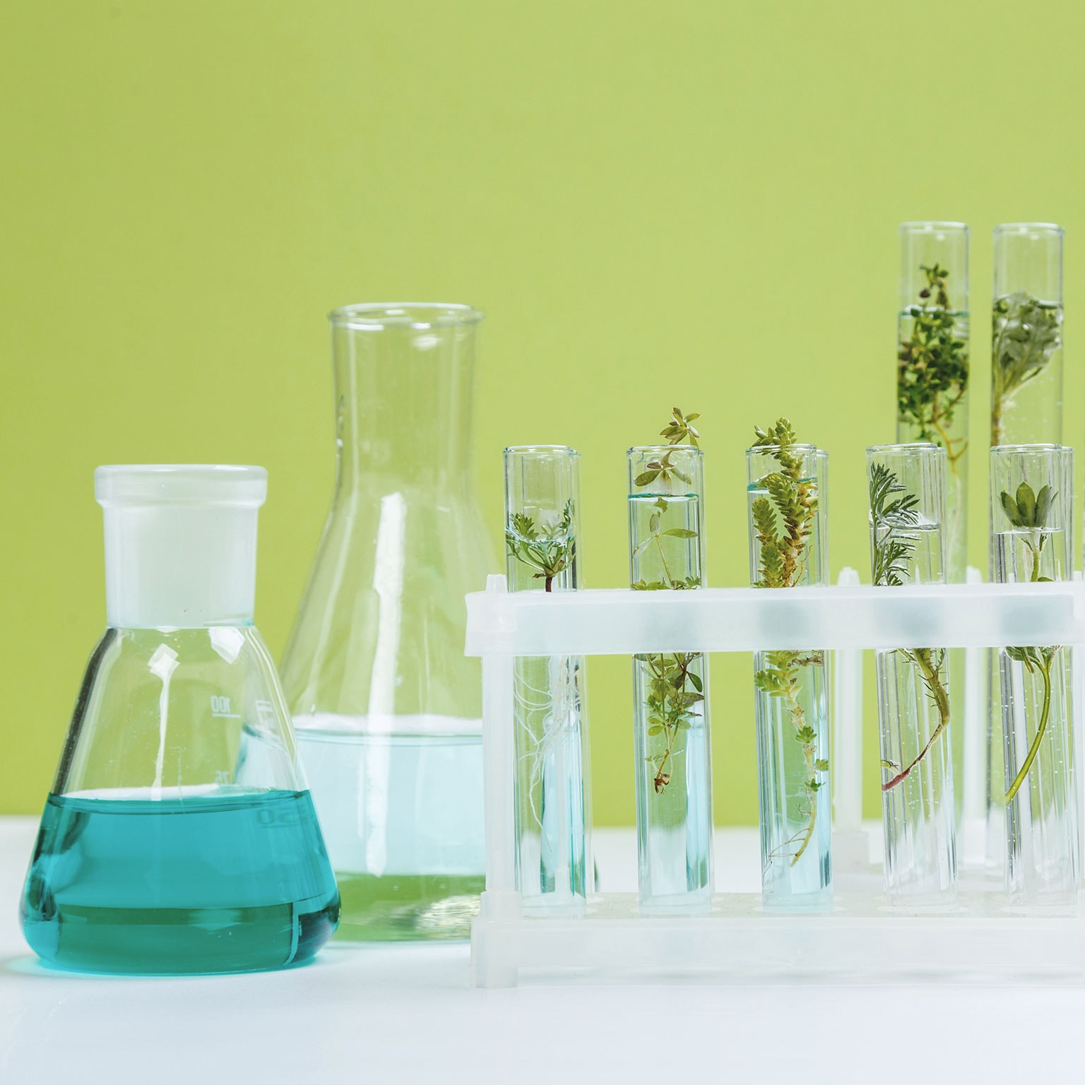 photo beakers and test tubes