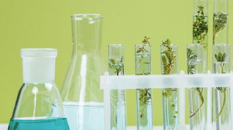photo beakers and test tubes