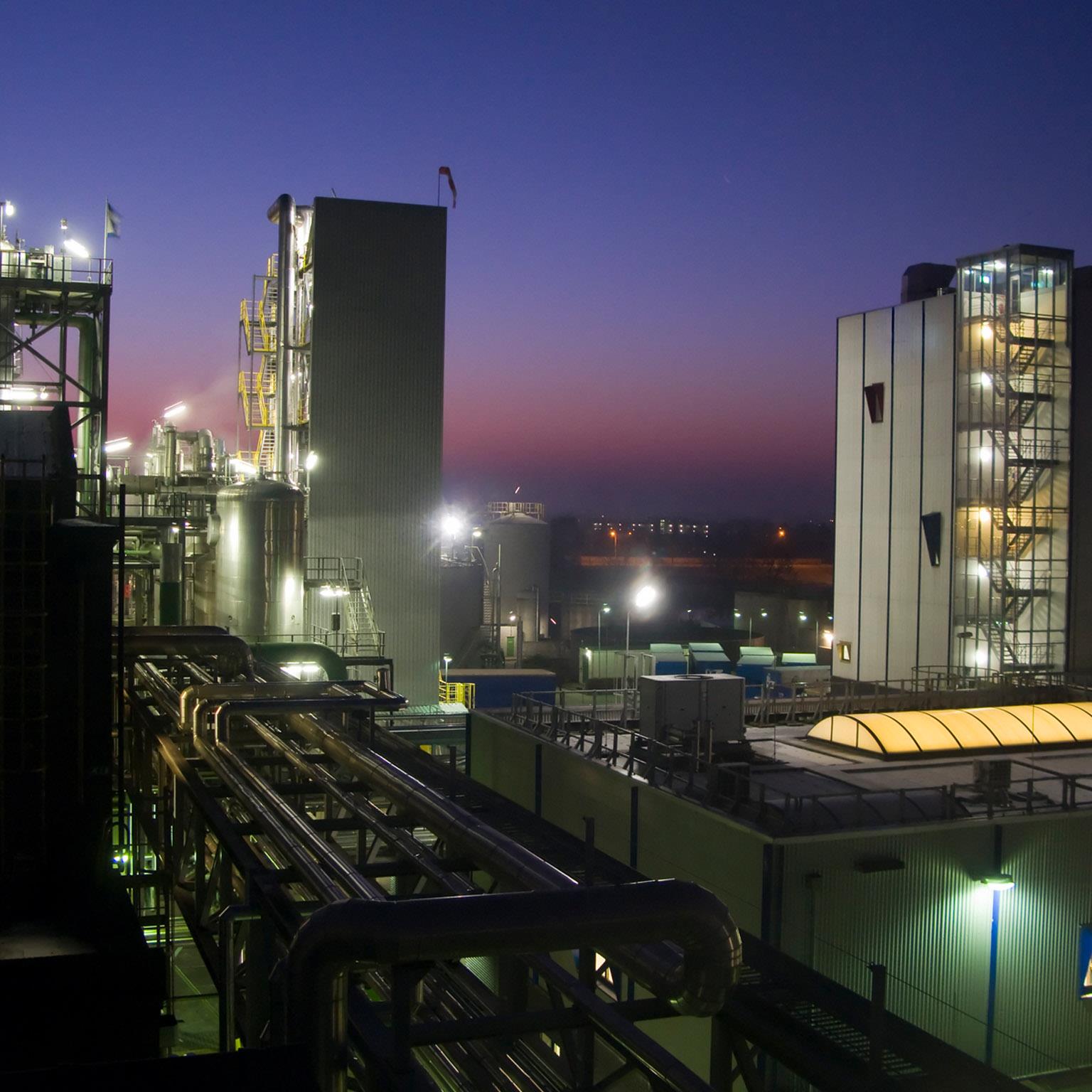 What-to-do-1536x1536-300_Standard