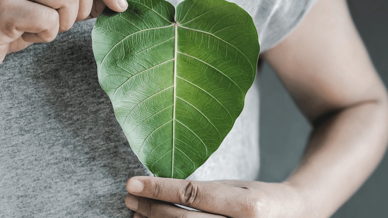 Close up of hand holding a heart shape green leaf on chest