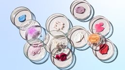 Top view of numerous petri dishes with various cosmetics in them.