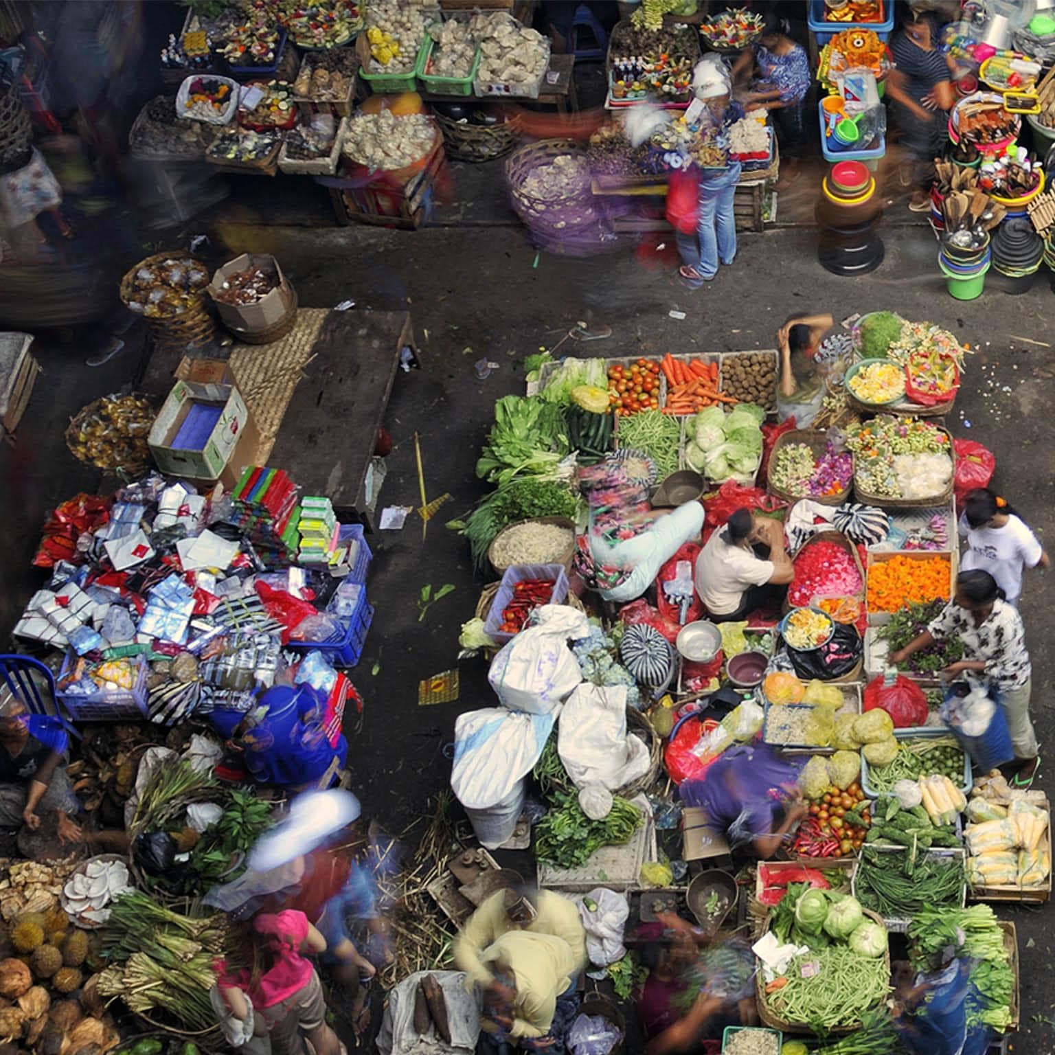 Understanding Indonesia_1536_1536_Original