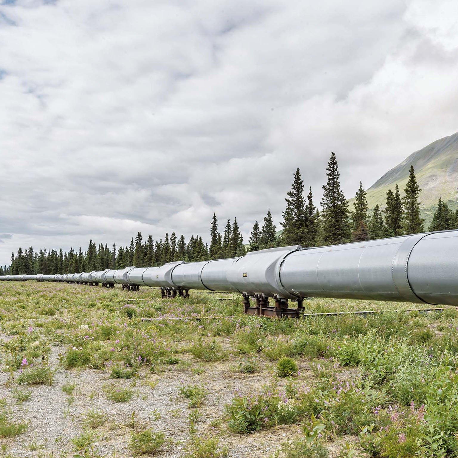 Landscape panorama of a pipeline in the summer