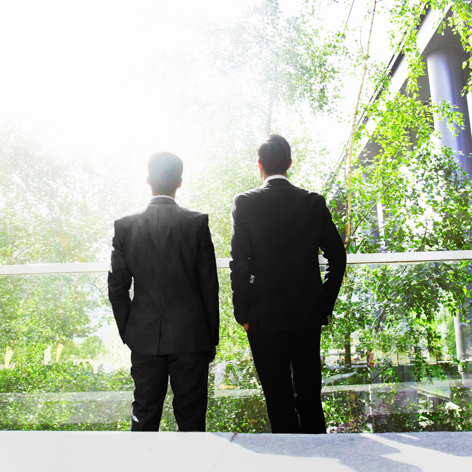 Two businessmen surrounded by trees. - stock photo
