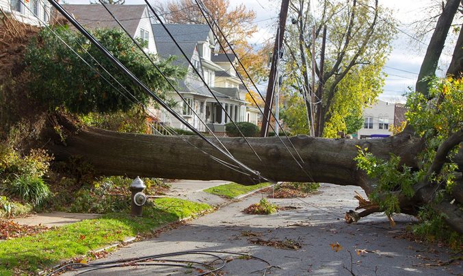 Sustainable grid planning for climate resilience - Vimarsana News