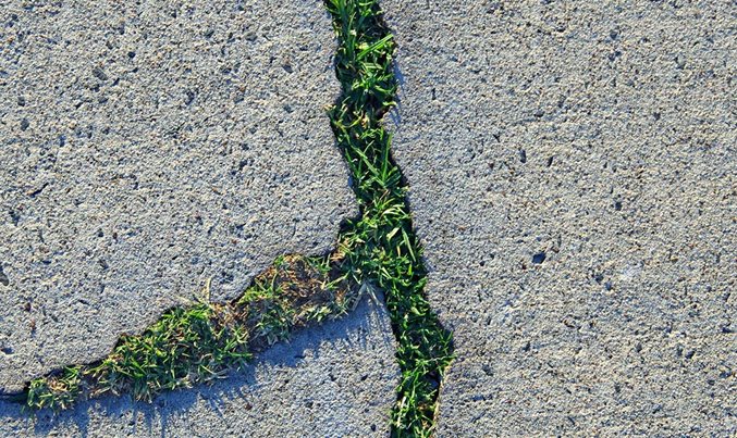 What's next for CEO climate leaders - Vimarsana News
