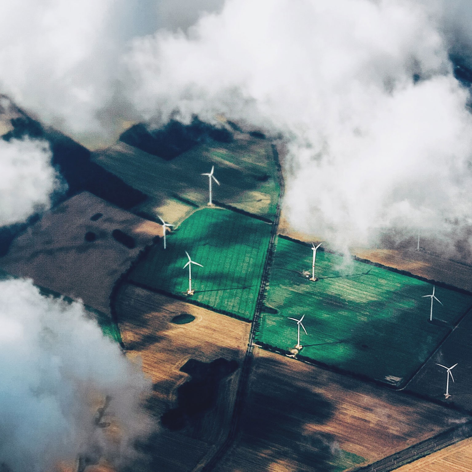 Rethinking the renewable strategy for an age of global competition