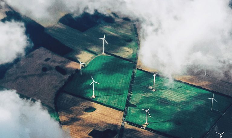 Rethinking the renewable strategy for an age of global competition