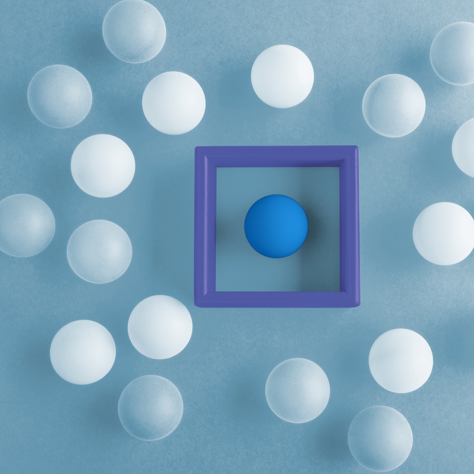 Financial Advisor Customer Experience Survey