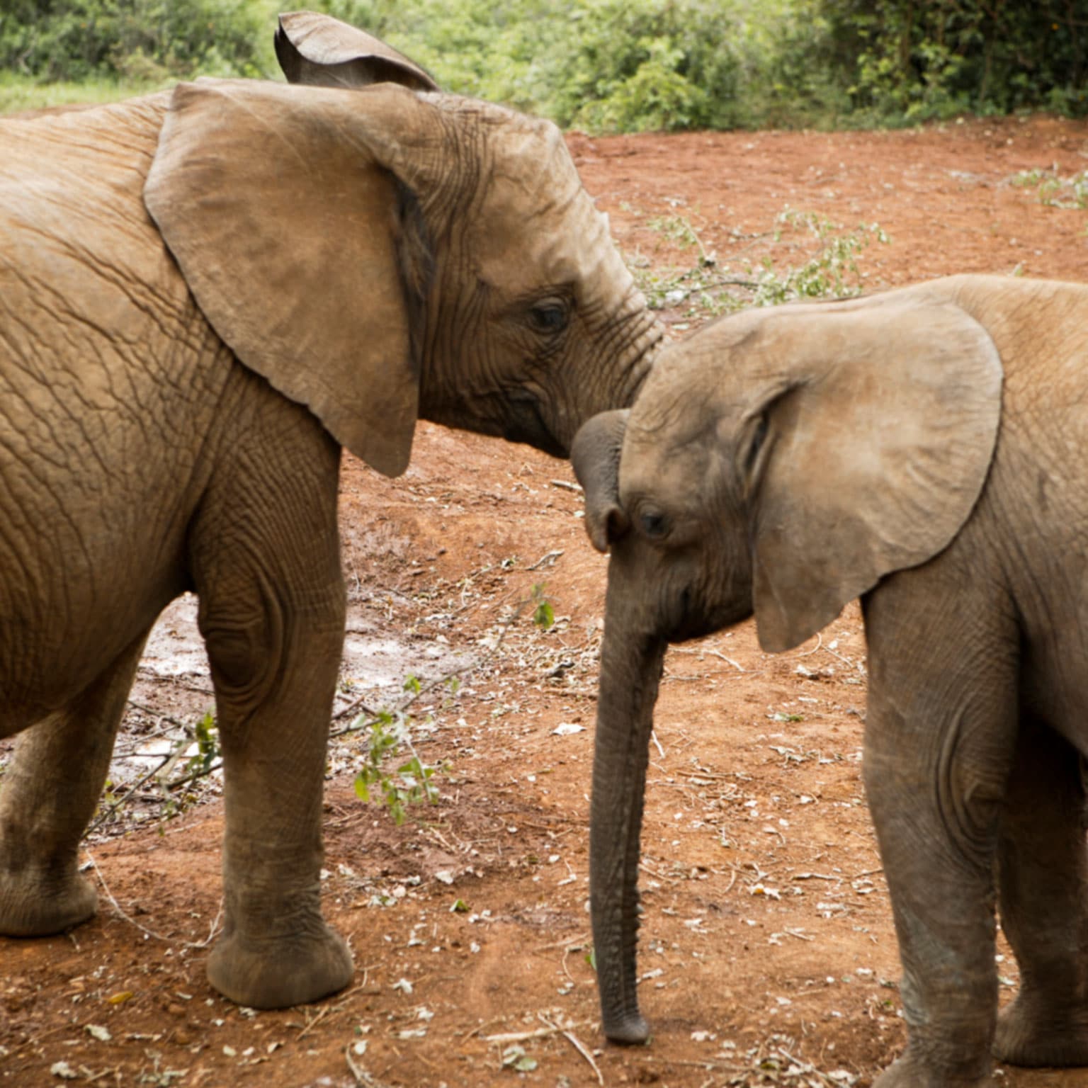 A “nudge” for the better in claims journeys