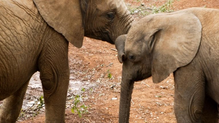 A “nudge” for the better in claims journeys