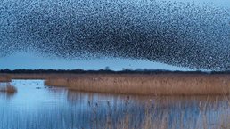 Analytics-banking_1536x1536_400_Standard