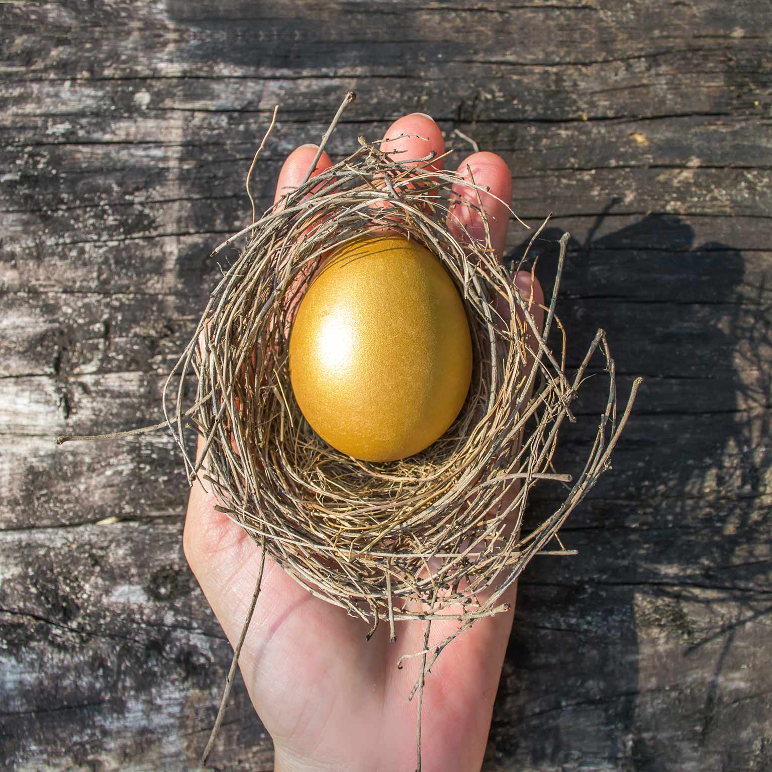 Asian asset management: Protecting and creating value in disruptive times