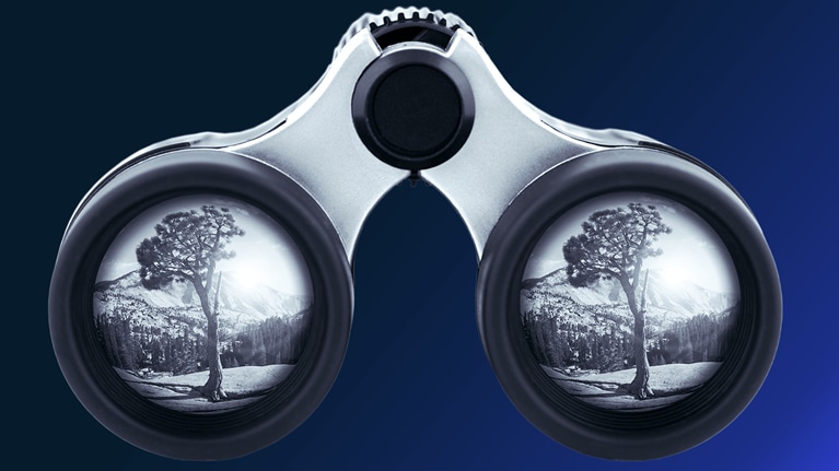 Blue toned binoculars