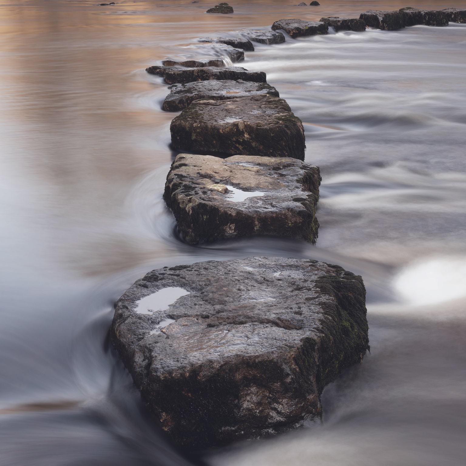 Implications of coronavirus for North American life and annuities writers