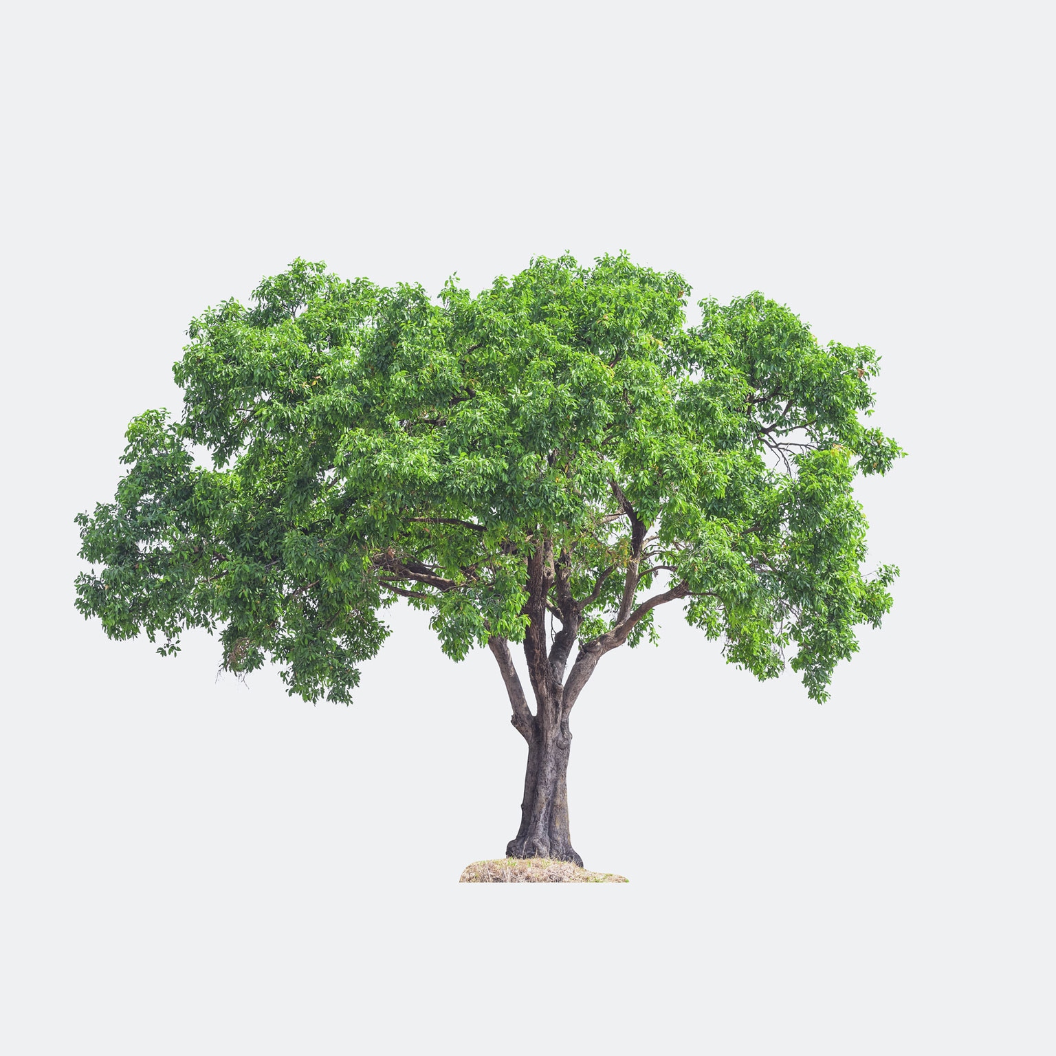 Long-term value creation in US retirement