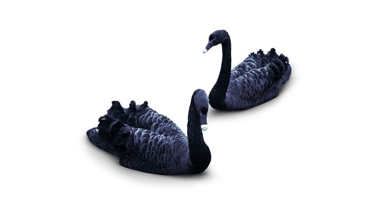 North American asset management: A year of shocks but few surprises