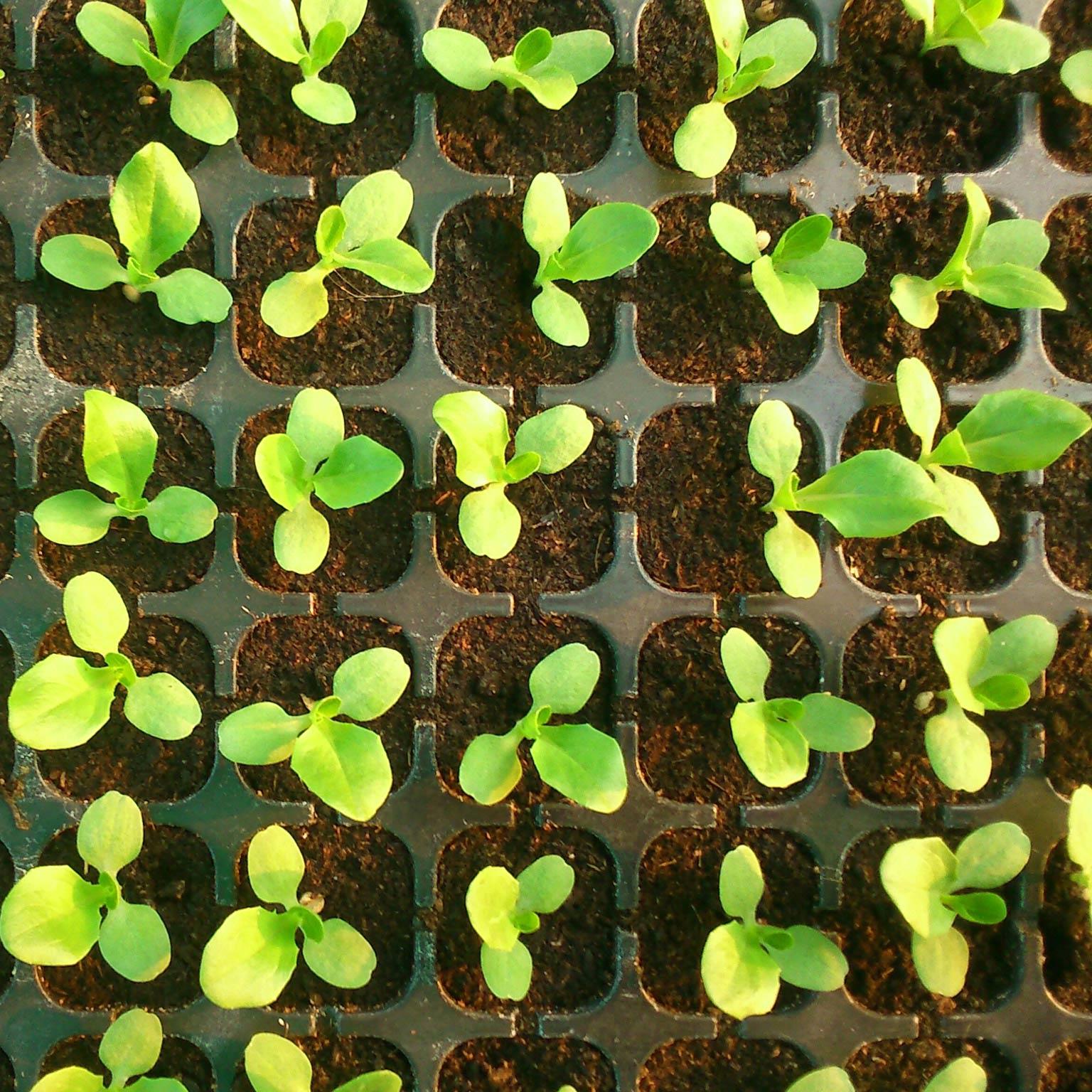 Future-of-group-life-insurance-1536x1536_0_Standard