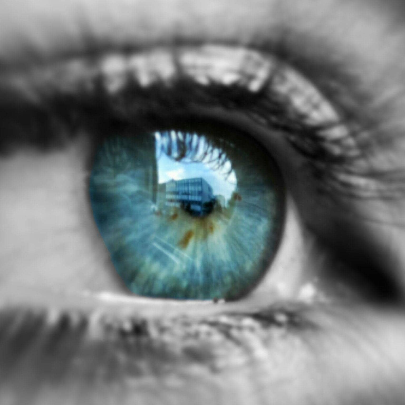 Insights-Facing-digital-reality-1536x1536-300_Standard