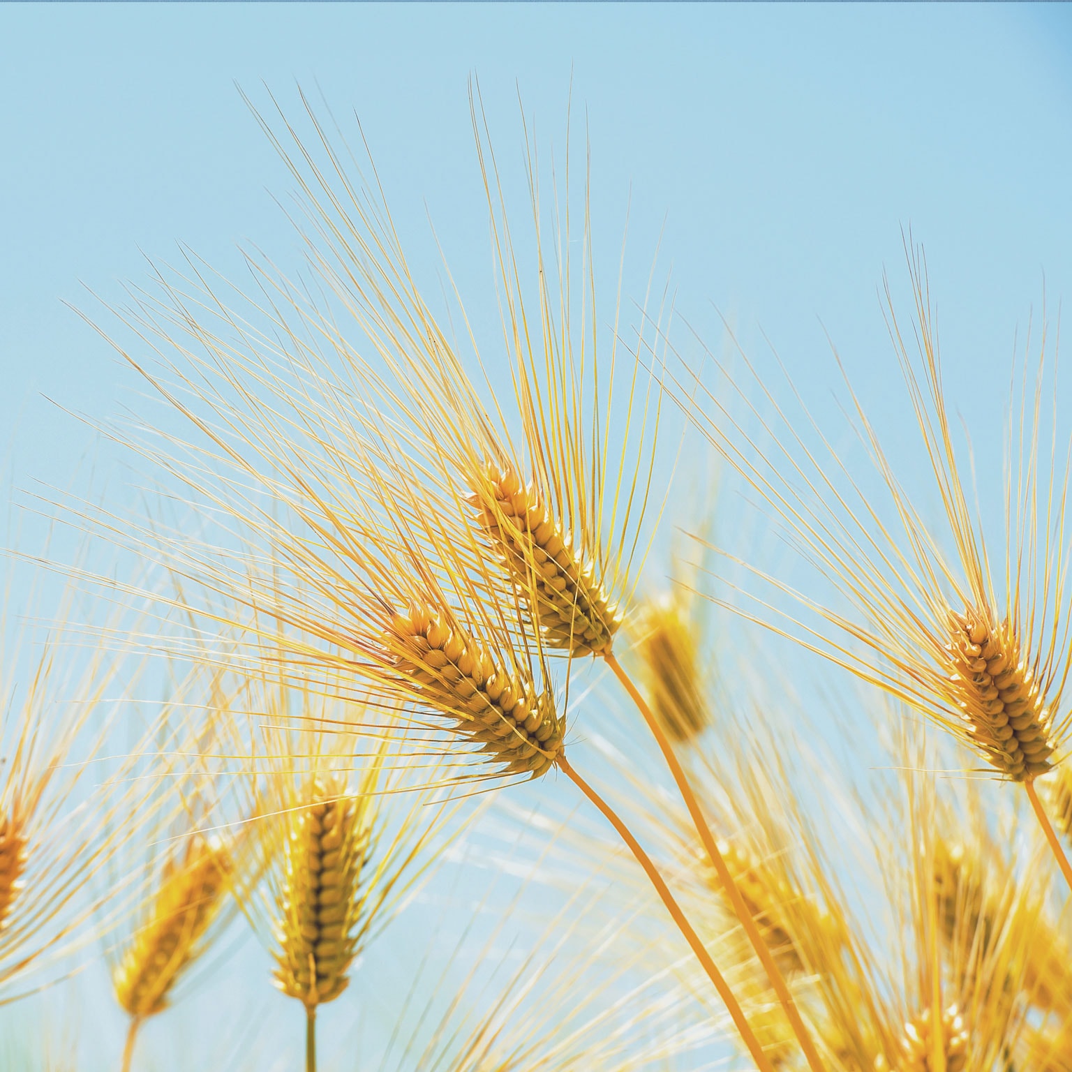 Tracking the sources of robust payments growth: McKinsey Global Payments Map