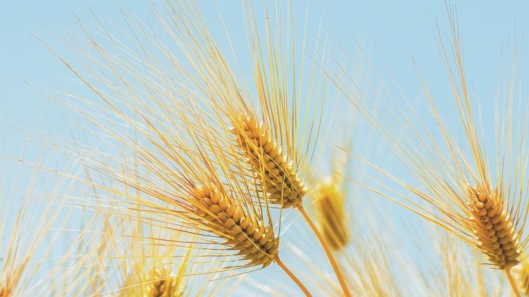 Tracking the sources of robust payments growth: McKinsey Global Payments Map