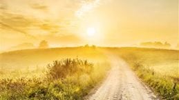 Pharma_Med_Affairs_2020_and_beyond_Browse