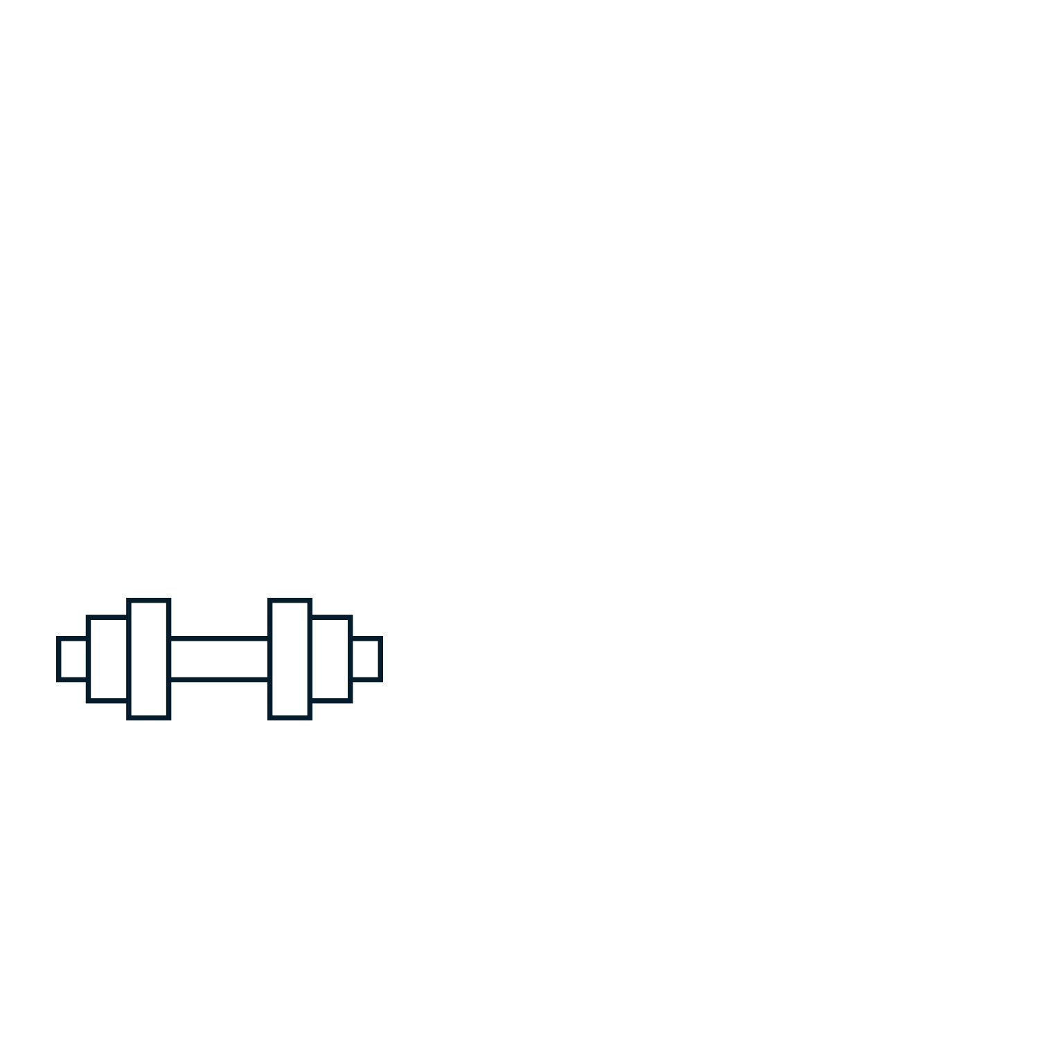 dumbbell icon