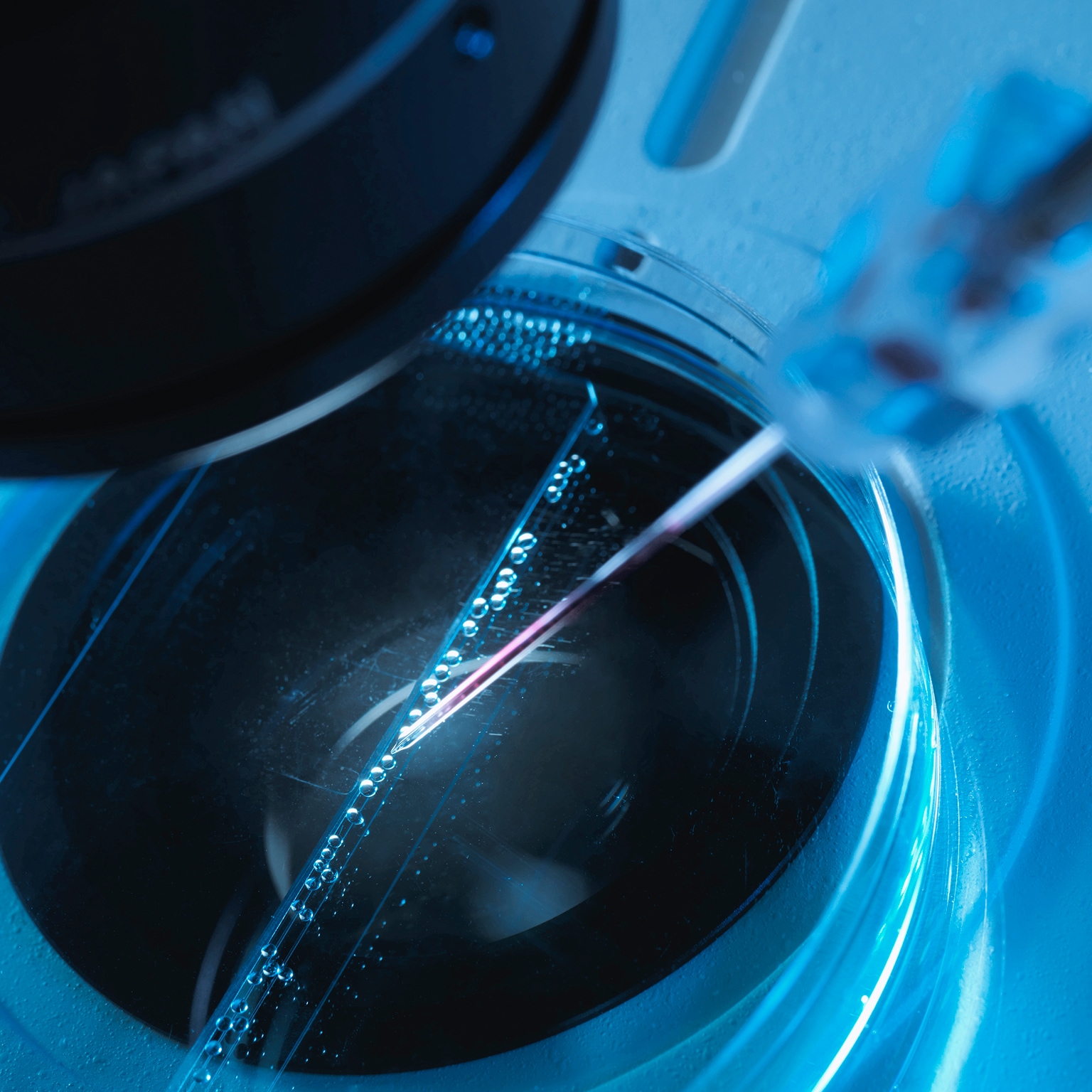 Can European biotechs achieve greater scale in a fragmented landscape?