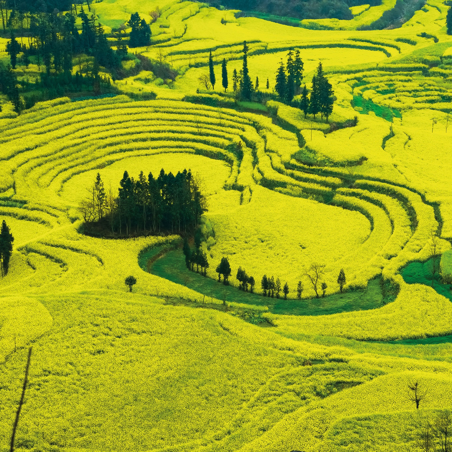 Collaborating to address our global public health challenges