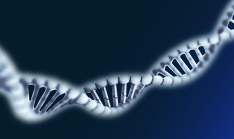DNA strand
