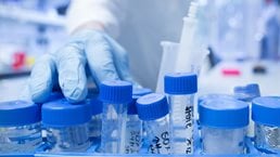 Exploring the disruptive potential