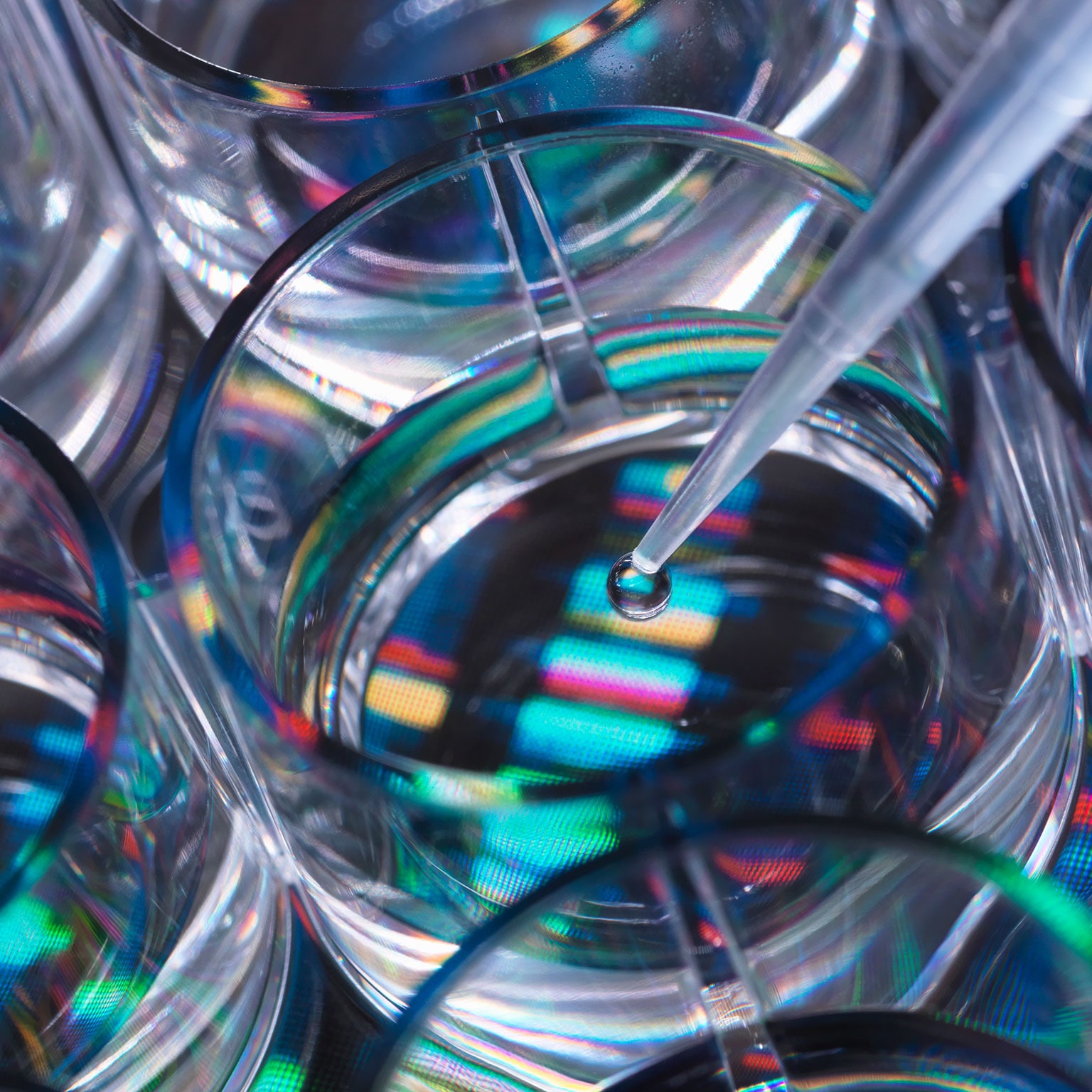 From semiconductors to life sciences: Building a global business out of Japan