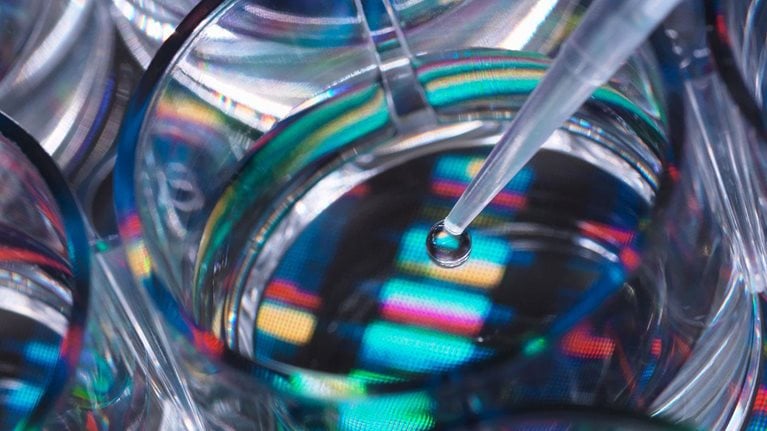 From semiconductors to life sciences: Building a global business out of Japan