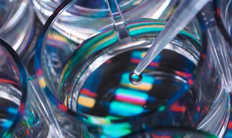From semiconductors to life sciences: Building a global business out of Japan