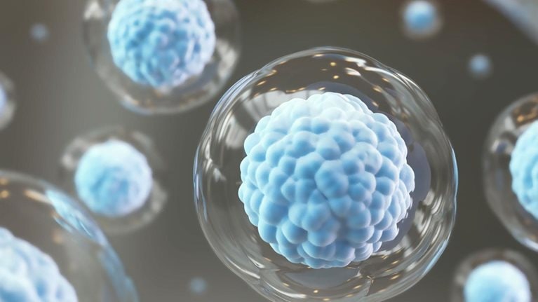 Helping to accelerate cures: Regulating the rapidly evolving field of cell and gene therapies