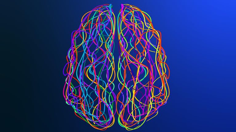 Abstract human brain of colorful stripes and lines