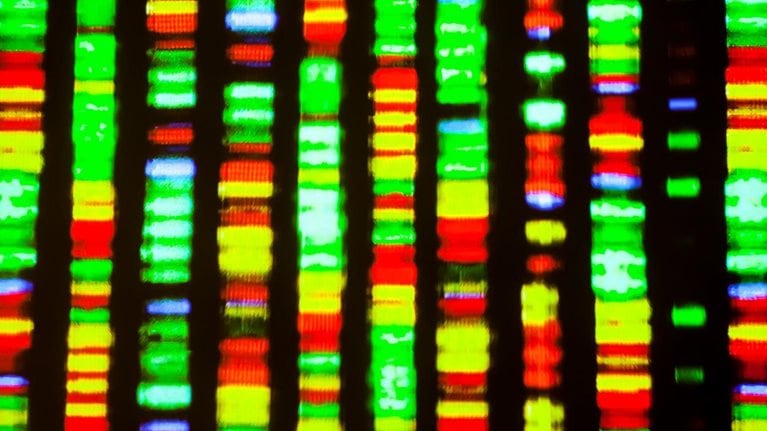 Insights-Realizing-the-potential-1536x1536-0_Standard