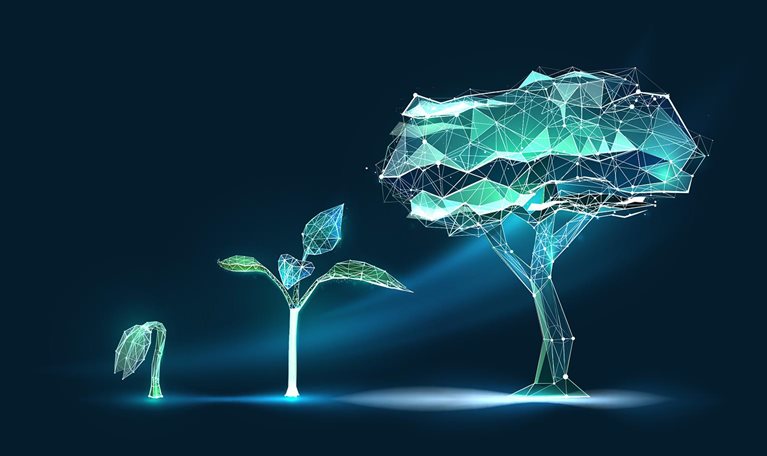 Digital polygon-style image of the evolution of a seedling growing into a mature tree.