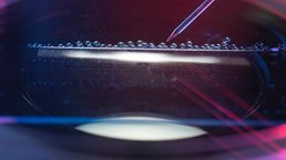 Next-horizon-pharma-1536x1536-100_Standard