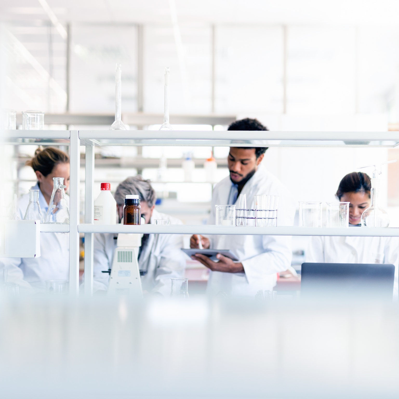 Four scientists working in the laboratory