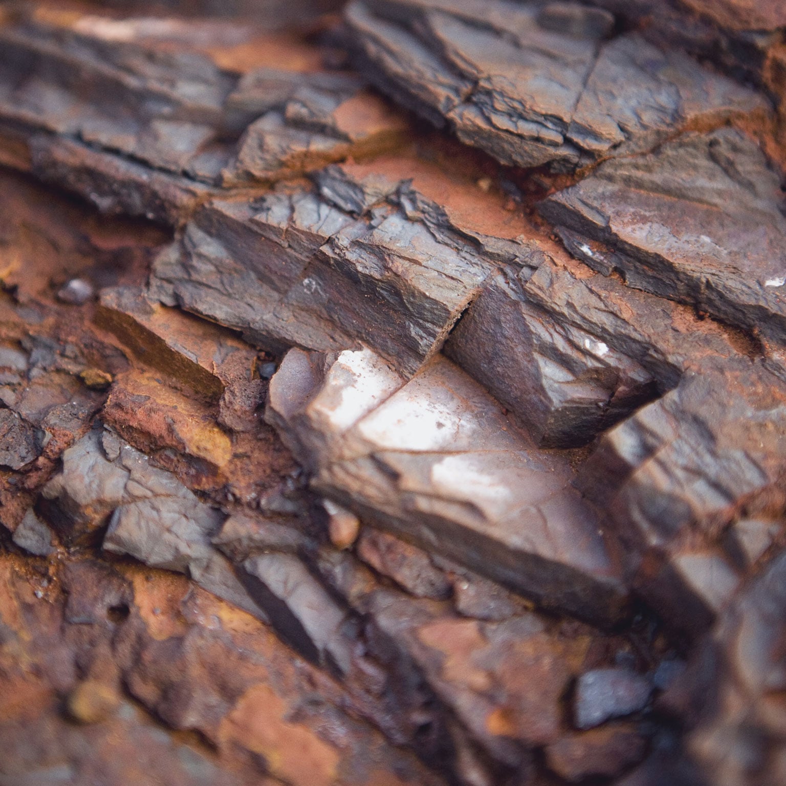 Auctioning of Indian mining leases—the next disrupting factor in the iron ore market?