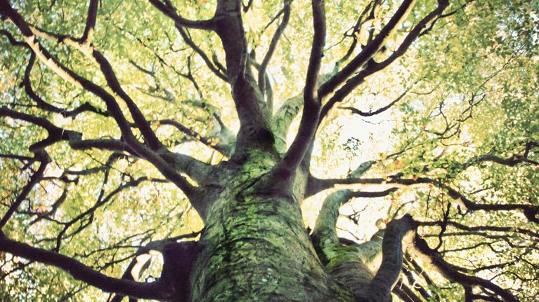 Capturing the value from sustainable materials