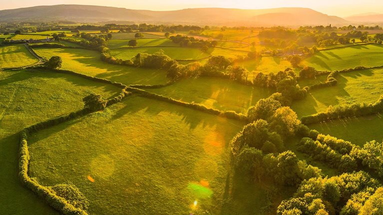 A framework for fostering effective energy transitions