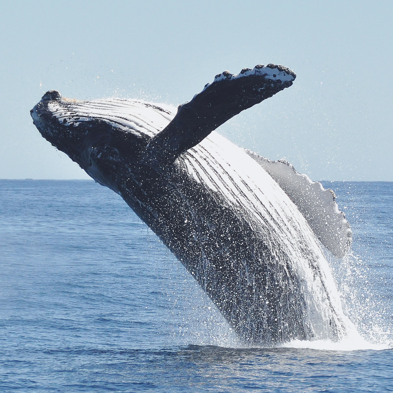 Digital transformation in energy: Achieving escape velocity