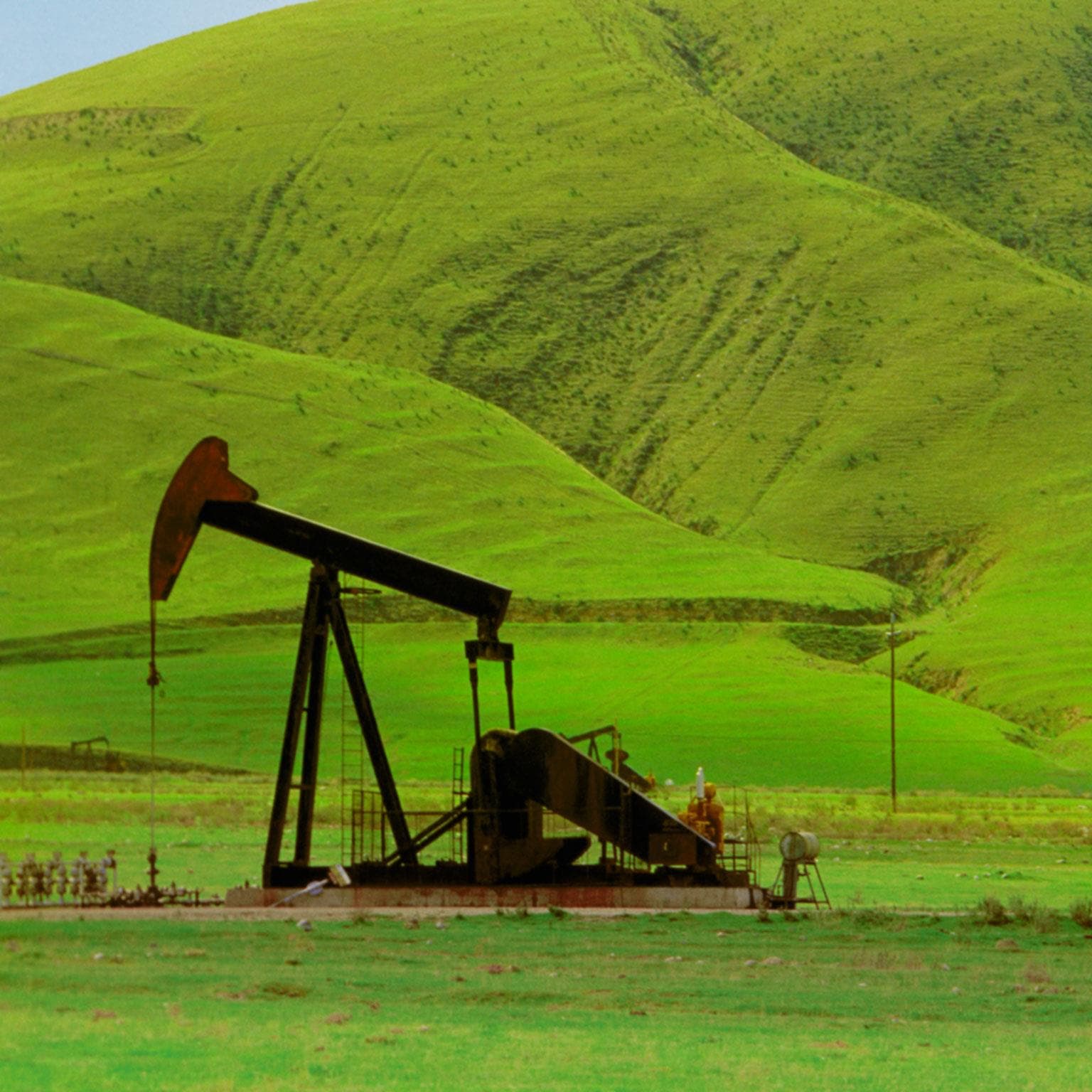 JPG-O-G-Is-growth-taking-root-500_Standard