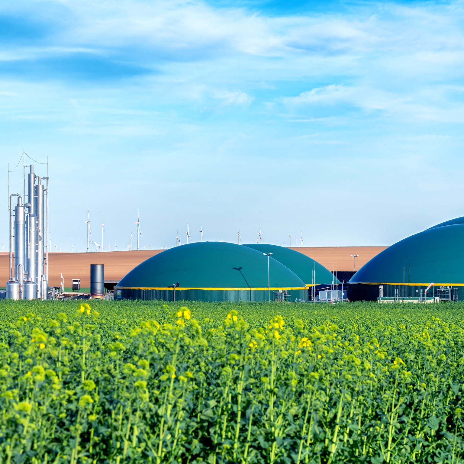 Large green domed Biogas tanks and industrial structures sit in a rural landscape. In the foreground, a vibrant field of yellow rapeseed flowers stretches out, with wind turbines visible in the distance under a partly cloudy sky.