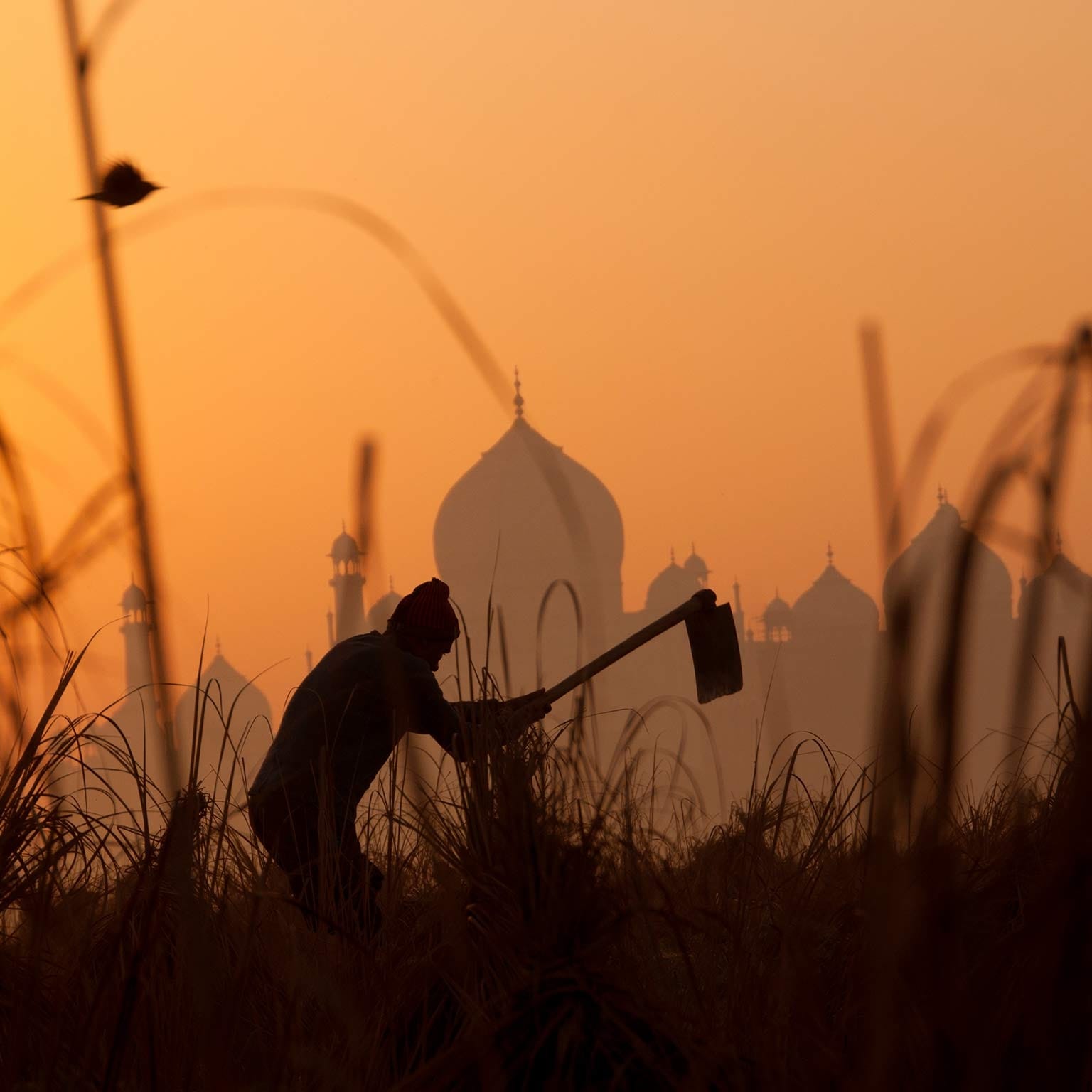 A closer look at impact investing